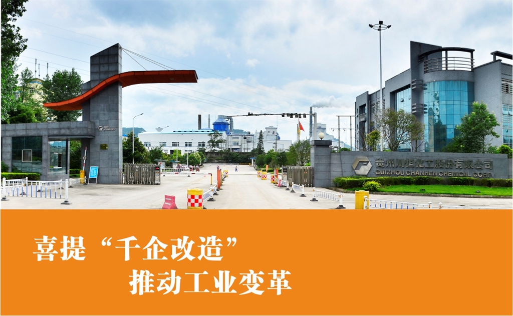 封面图 封面图