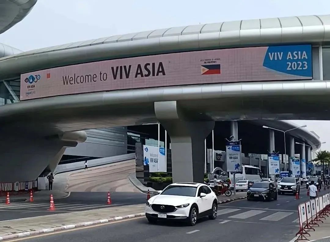 图片1 图片1